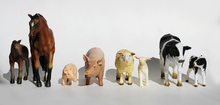Toy Farm Animals