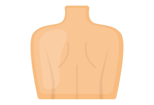 Illustration of shoulder blades being pulled back and chest sticking out position